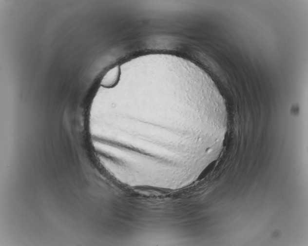 X0000091340731200709071217