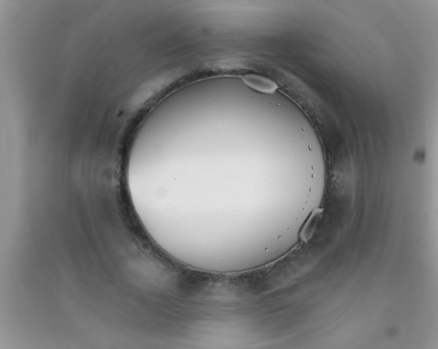 X0000091340732200709071217