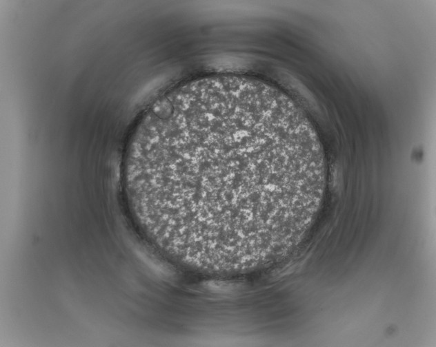 X0000091340733200709071218