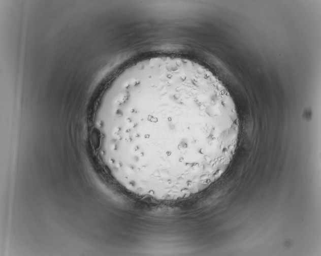 X0000091340734200709071218