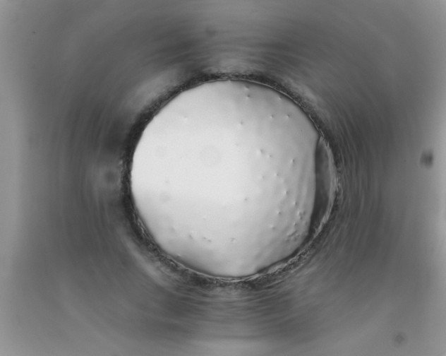 X0000091340735200709071218