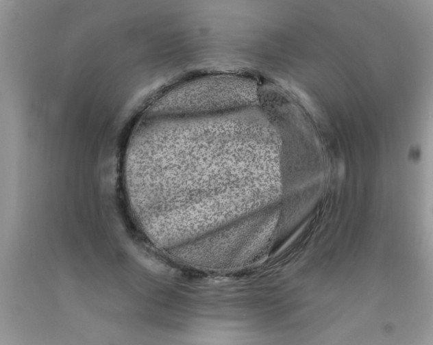 X0000091340736200709071218