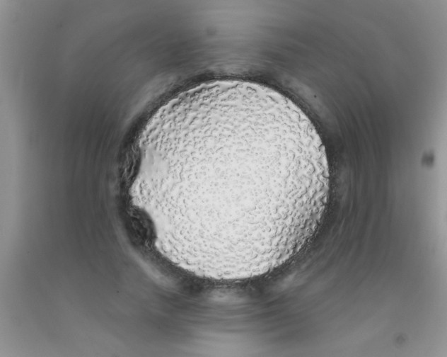 X0000091340738200709071218