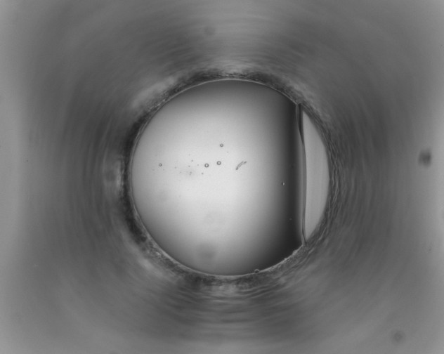 X0000091340740200709071218