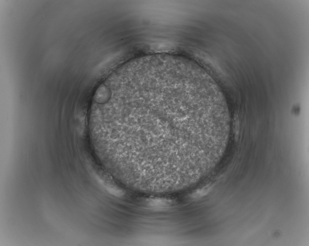 X0000091340741200709071218