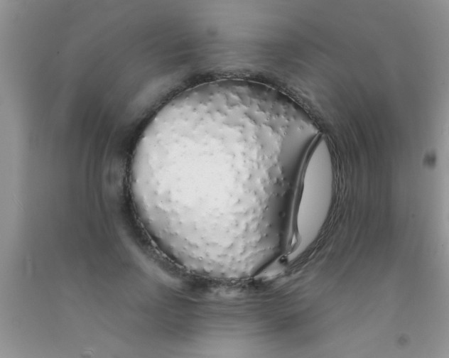 X0000091340742200709071218