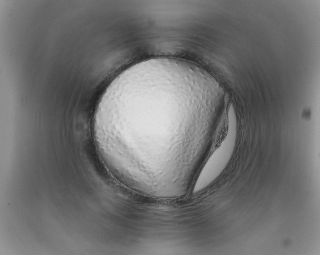 X0000091340743200709071218