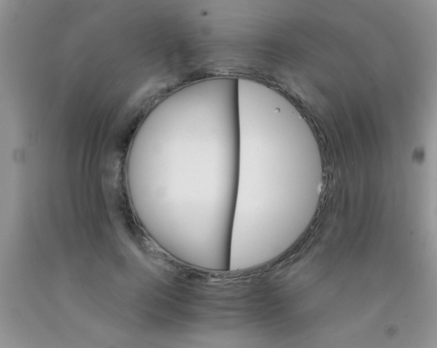 X0000091340744200709071218