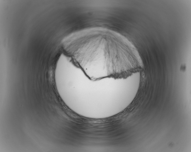 X0000091340745200709071218