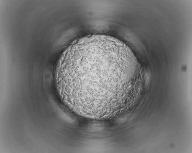 X0000091340746200709071218