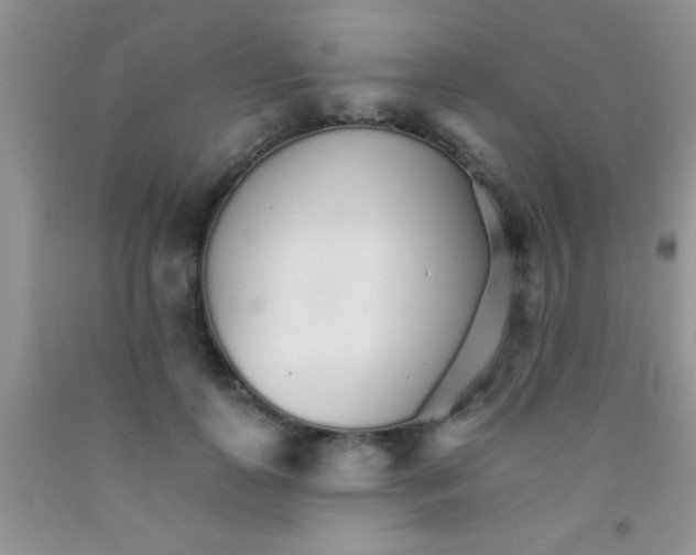 X0000091340747200709071218