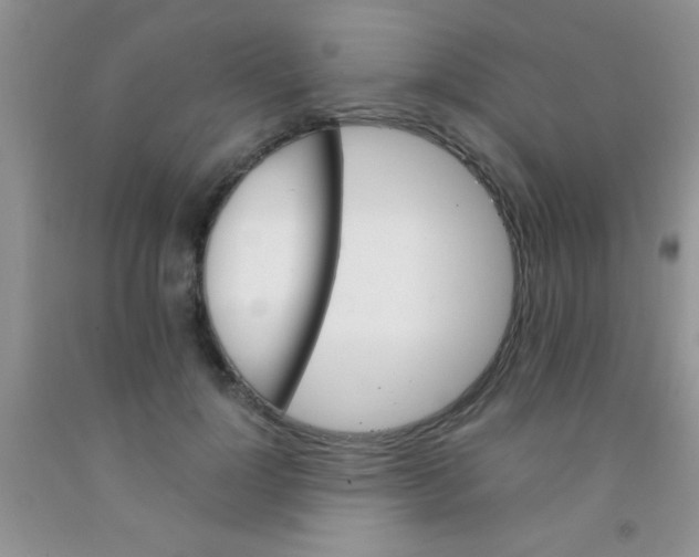 X0000091340748200709071218