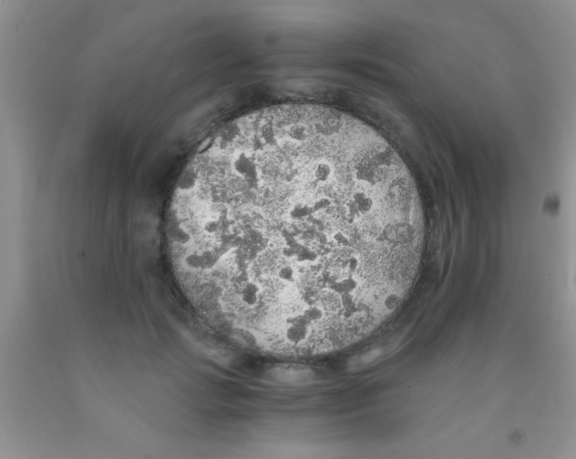 X0000091340749200709071218