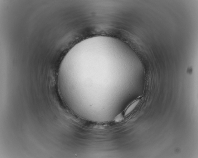 X0000091340751200709071218