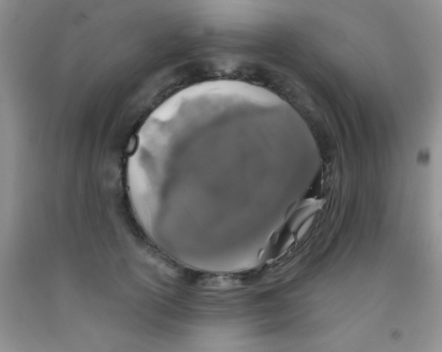 X0000091340754200709071218