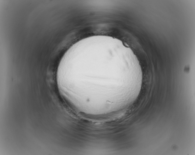 X0000091340755200709071218