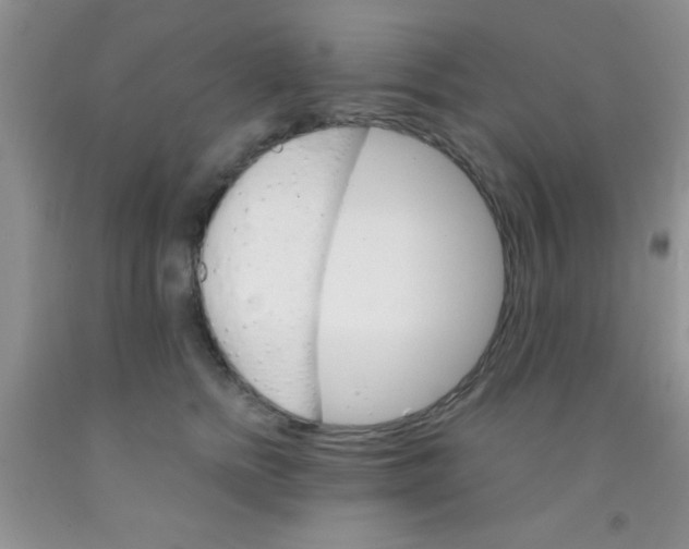 X0000091340758200709071218