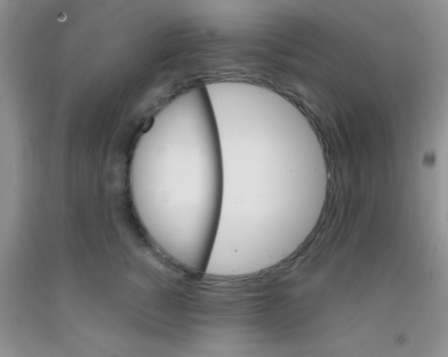 X0000091340760200709071218