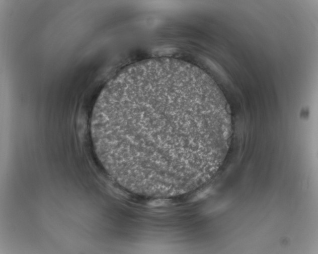 X0000091340761200709071218