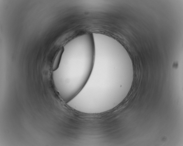 X0000091340762200709071218