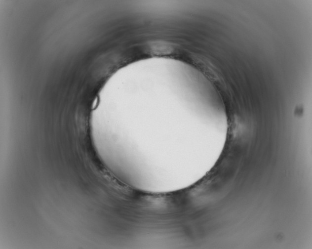 X0000091340763200709071218