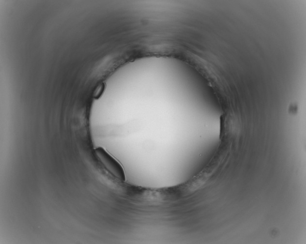 X0000091340764200709071218