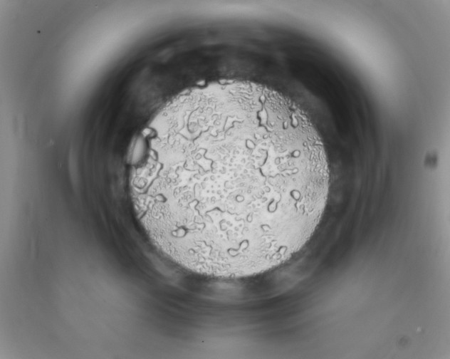 X0000091340765200709071218