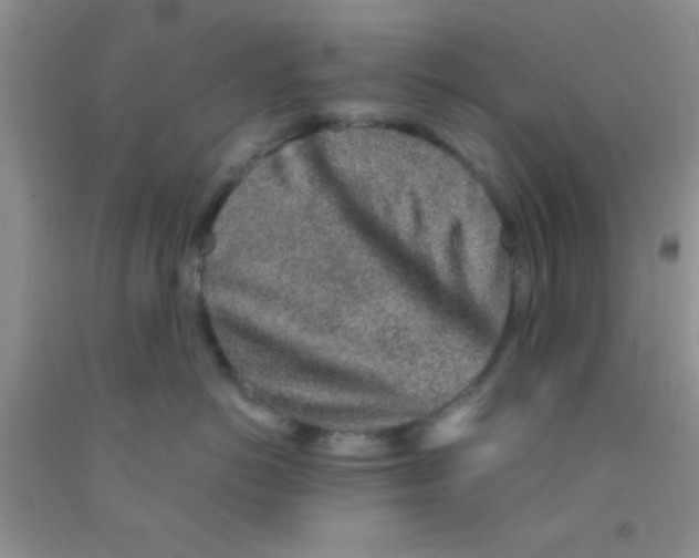 X0000091340766200709071218