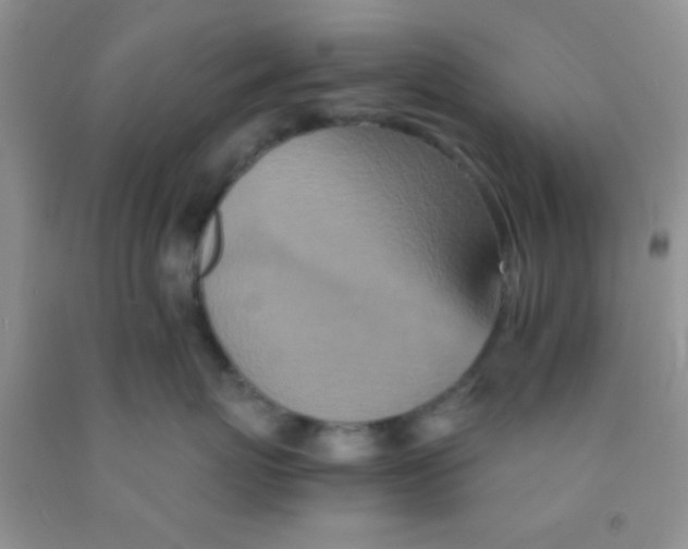 X0000091340767200709071218