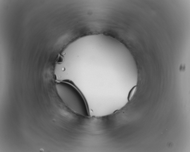 X0000091340768200709071218