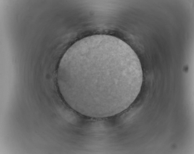 X0000091340769200709071217