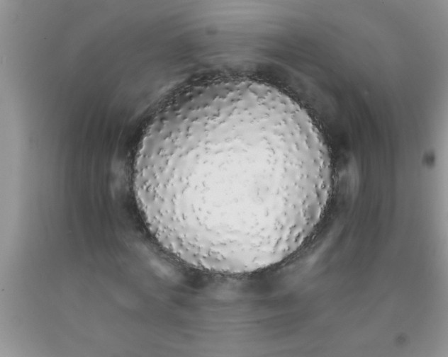 X0000091340772200709071217