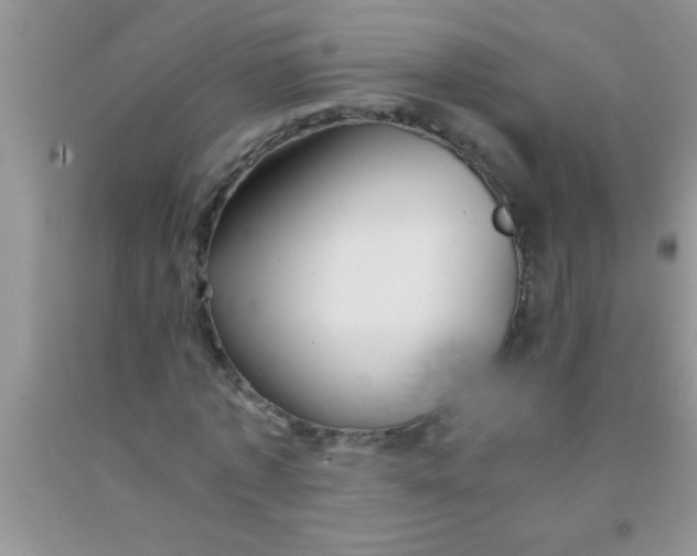 X0000091340773200709071217