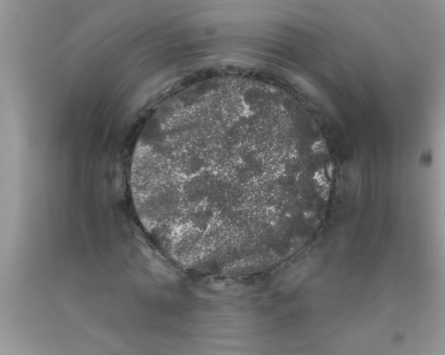 X0000091340774200709071217