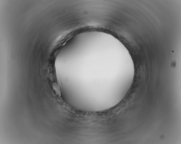 X0000091340776200709071217