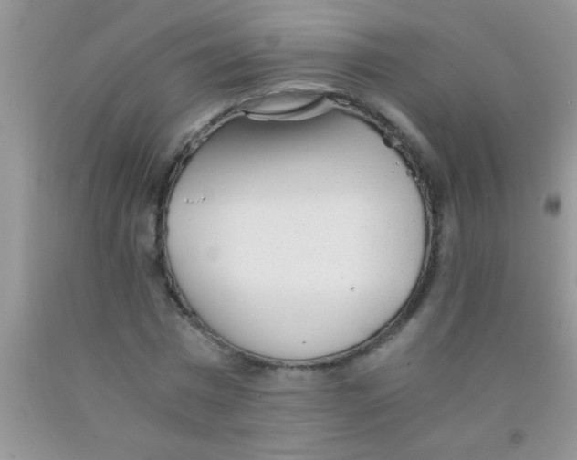 X0000091340777200709071217