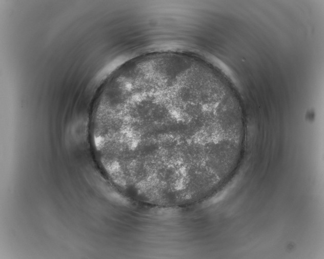 X0000091340778200709071217