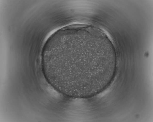 X0000091340779200709071217