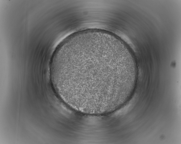 X0000091340782200709071217