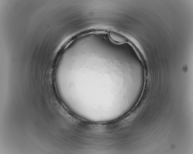 X0000091340783200709071217