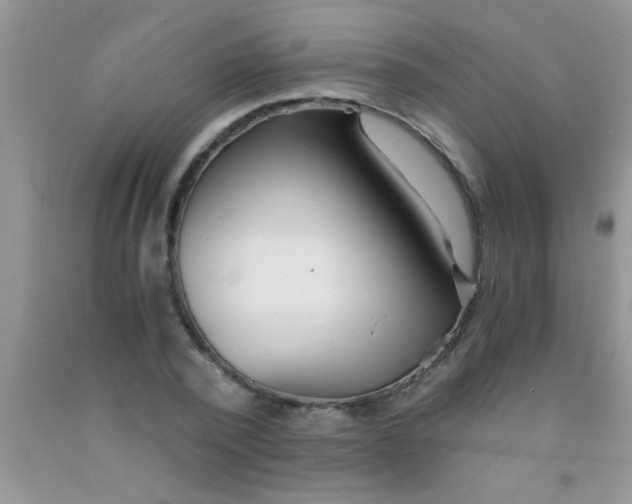 X0000091340784200709071217