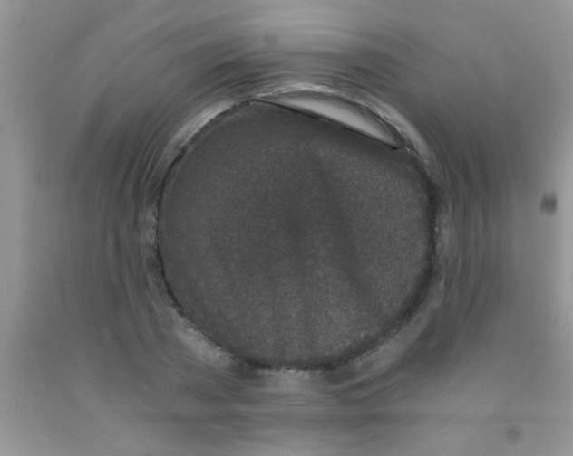 X0000091340785200709071217