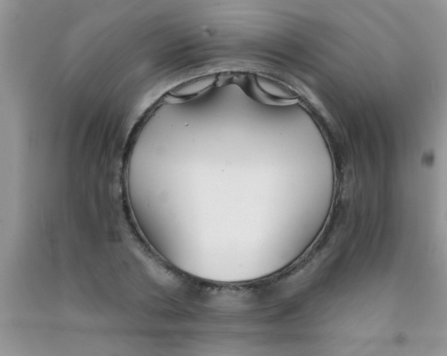 X0000091340786200709071217