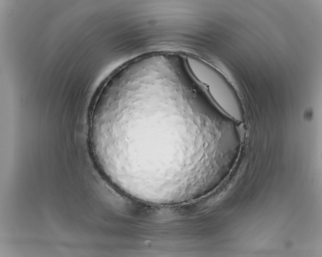 X0000091340787200709071217