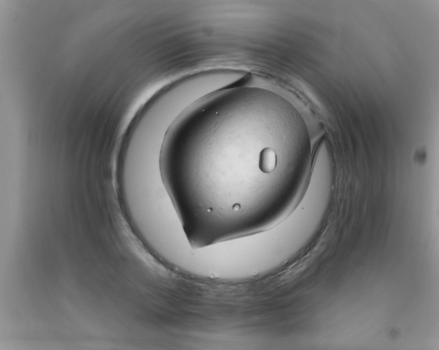 X0000091340788200709071217