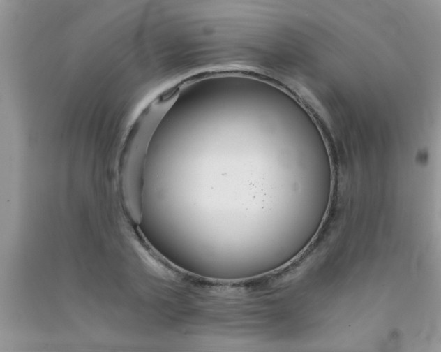 X0000091340789200709071217