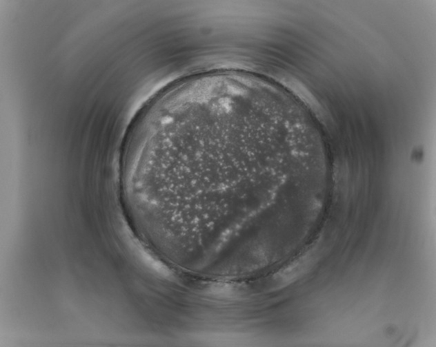 X0000091340790200709071217