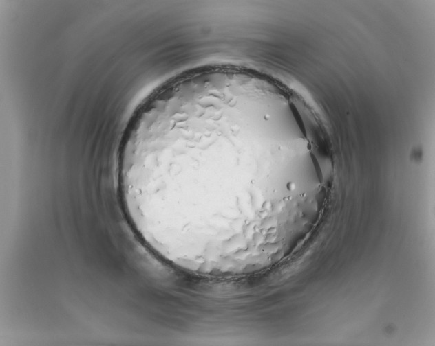 X0000091340791200709071217