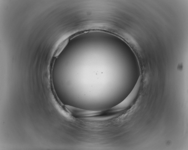 X0000091340792200709071217