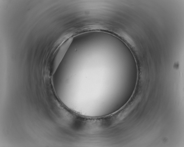 X0000091340793200709071217